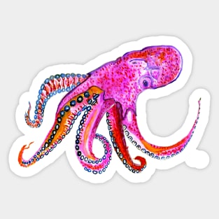 Pink Octopus Sticker